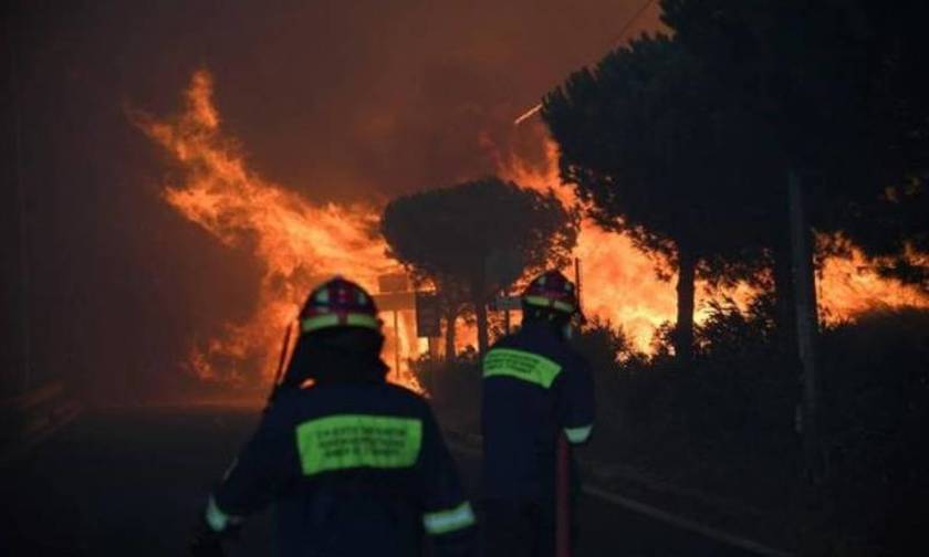 Νέα δεδομένα: Από καύση ξερών κλαδιών η φονικότερη πυρκαγιά της Αττικής;