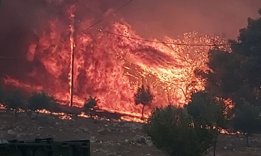 Σπάρτη: Ξέσπασε δασική πυρκαγιά κοντά στο καταφύγιο Ταϋγέτου