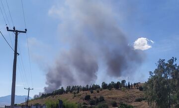 Φωτιά σε κατοικημένη περιοχή στο Βασιλικό Κορινθίας