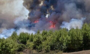 Βελτιωμένη η εικόνα της πυρκαγιάς στο Αραχναίο Αργολίδας, σε ύφεση στη Νέα Αλμυρή Κορινθίας