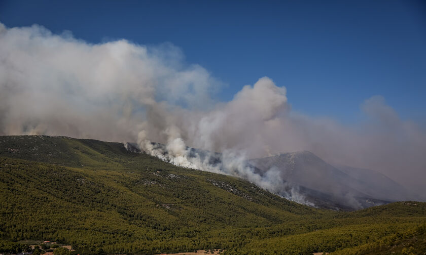 Ανοίγει η πλατφόρμα για την έκτακτη εφάπαξ ενίσχυση σε πρώην εργαζόμενους πυρόπληκτων επιχειρήσεων