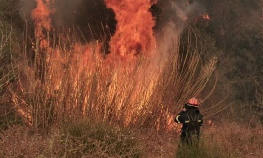 Σάμος: Καλύτερη η κατάσταση με τις πυρκαγιές