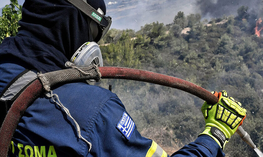 Σε εξέλιξη η φωτιά στον Λακωνικό Πάρνωνα – Ισχυρές δυνάμεις στο σημείο