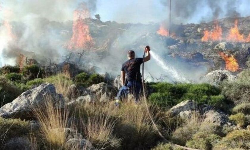 Κρήτη: Φωτιά στο δάσος της Κέρης - Μεγάλη επιχείρηση της Πυροσβεστικής