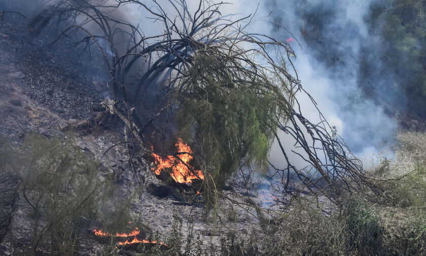 Υπό μερικό έλεγχο τα πύρινα μέτωπα σε Μέθανα και Ρόδο