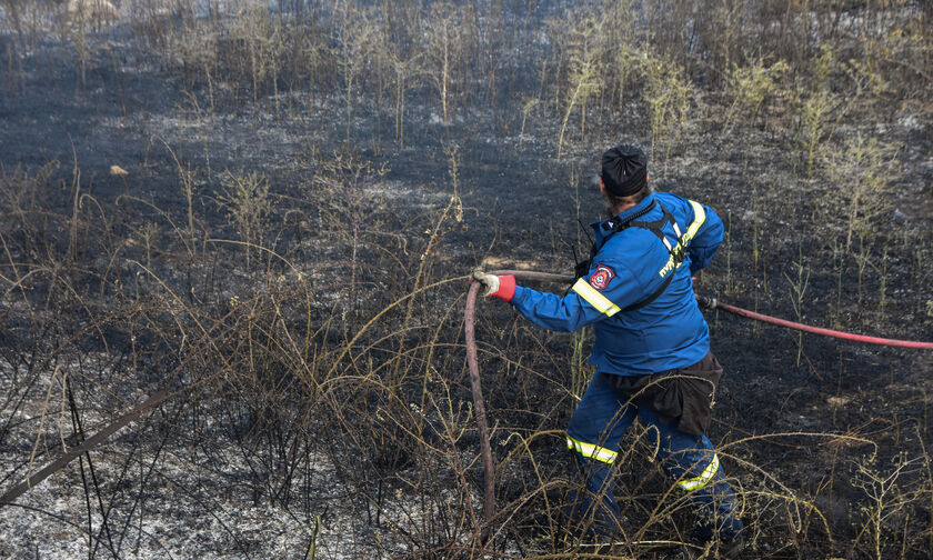 Αρτέμιδα: Πρώτη σύλληψη για εμπρησμό από αμέλεια στην αντιπυρική σεζόν