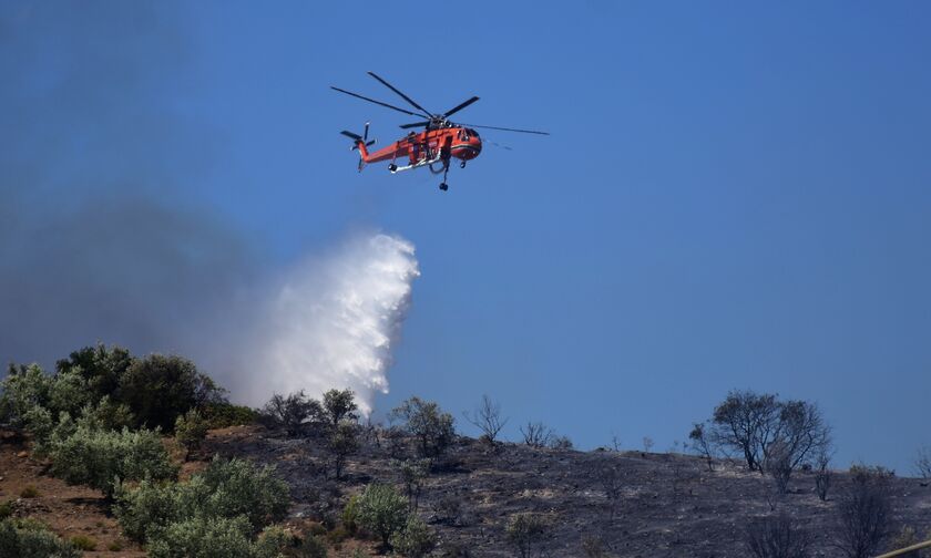 Φωτιά στην περιοχή Μαυρόλιθος στη Λάρισα - Επιχειρούν επίγειες και εναέριες δυνάμεις