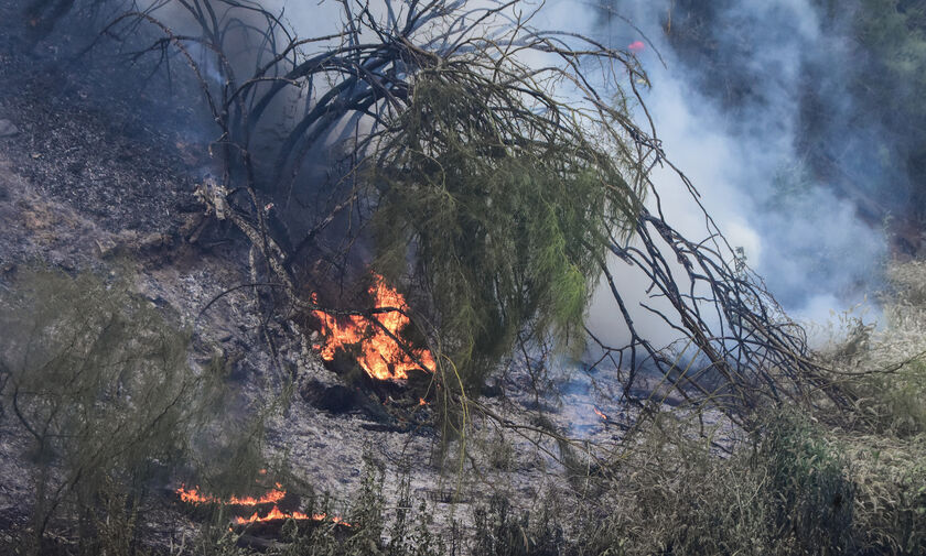 Πυρκαγιά σε εργοστάσιο στα Οινόφυτα