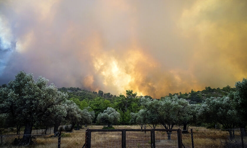 Φωτιά στη Ρόδο: Κάηκαν τα πρώτα σπίτια στο χωριό Λάερμα