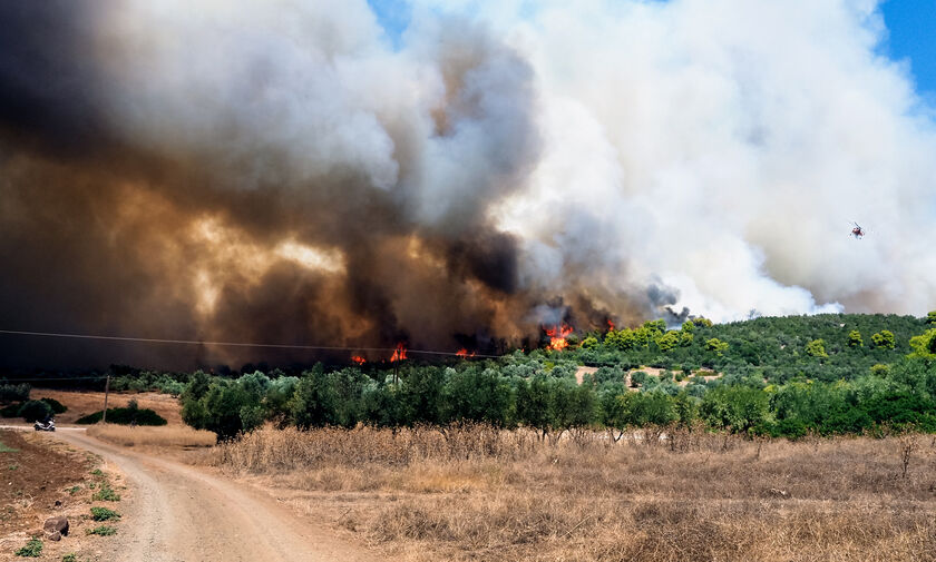 Μάχη με τις φλόγες σε Βοιωτία, Εύβοια, Αλεξανδρούπολη και Καβάλα – Όλες οι εξελίξεις