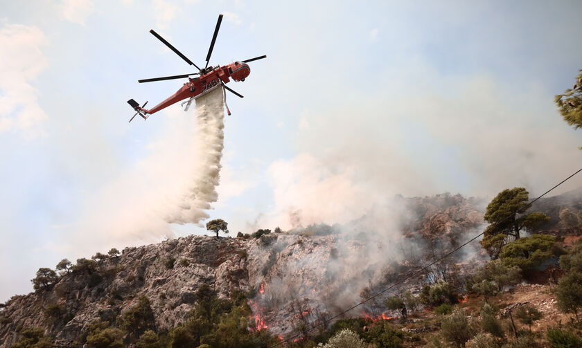 Φωτιά στον Αυλώνα: Βαμβάκι, σπινθηριστή και κιάλια είχε πάνω του προσαχθείς για εμπρησμό