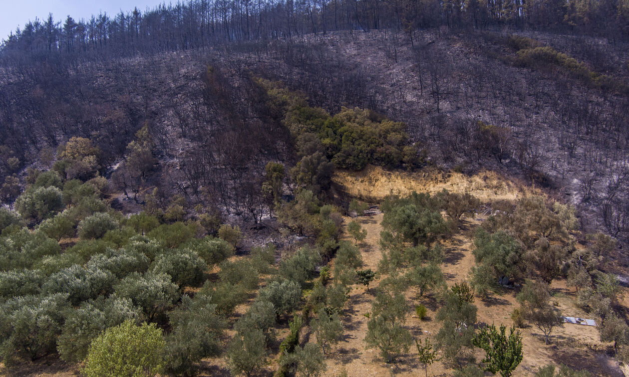 Φωτιά στην Κρήτη: Δύο πύρινα μέτωπα σε Ηράκλειο και Χανιά