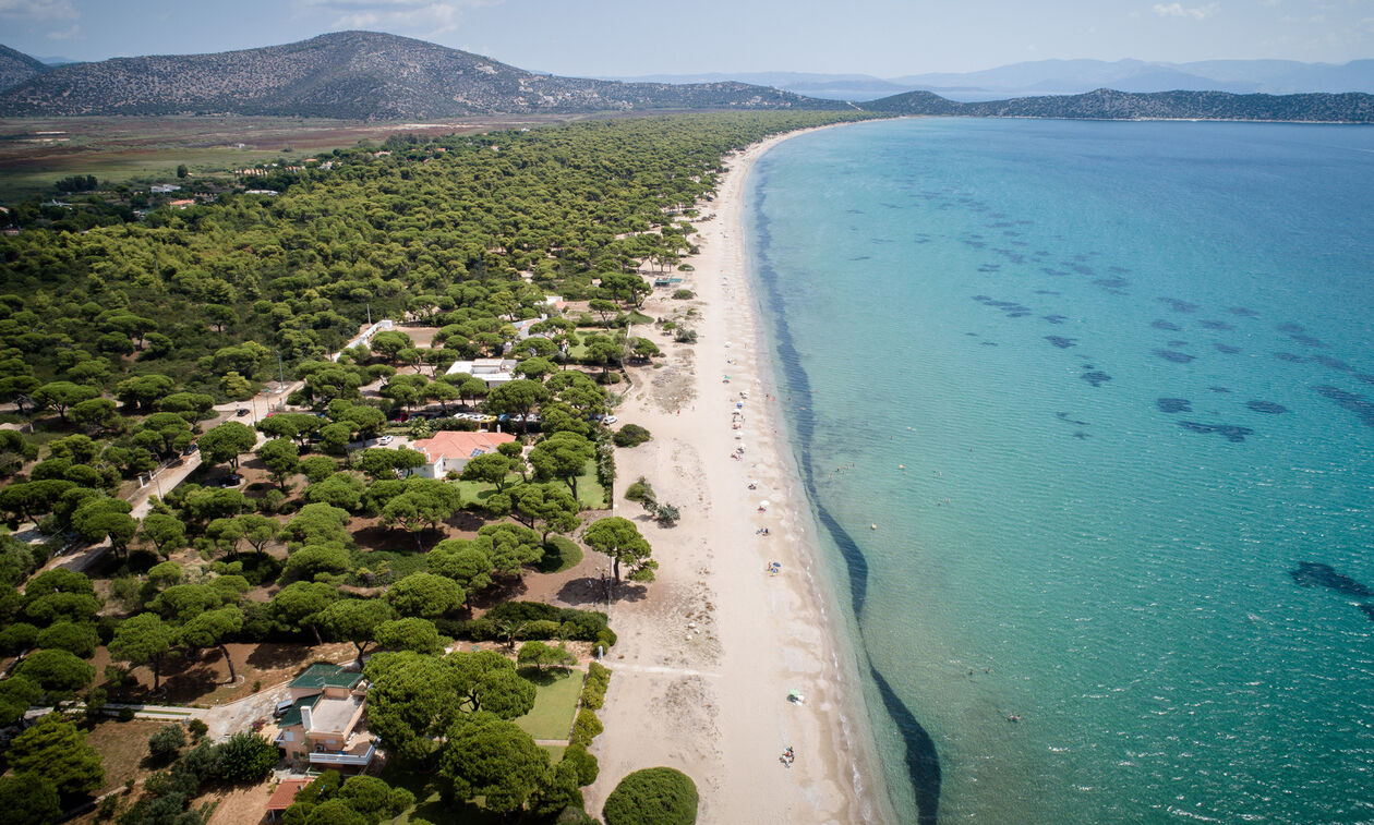 Σχινιάς: Πάνω από 20 ημέρες στη θάλασσα η σορός - Εντοπίστηκε σε προχωρημένη σήψη