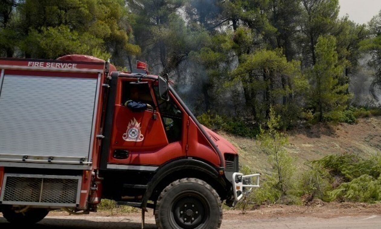 Σε εξέλιξη φωτιά κοντά στα διόδια Ελευσίνας – Δυνάμεις της πυροσβαστικής στο σημείο