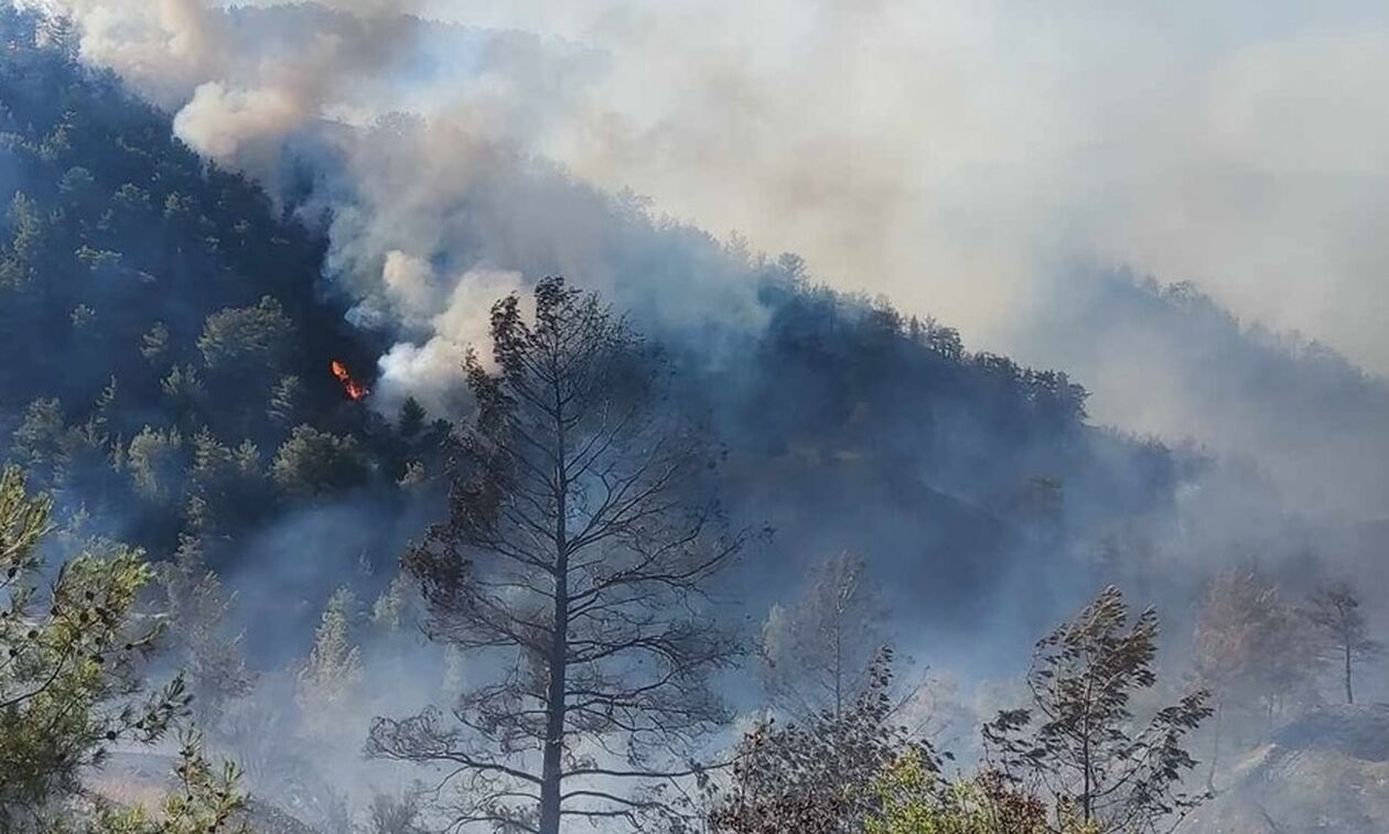 Χωρίς ενεργά μέτωπα πλέον η μεγάλη πυρκαγιά στην Κύπρο