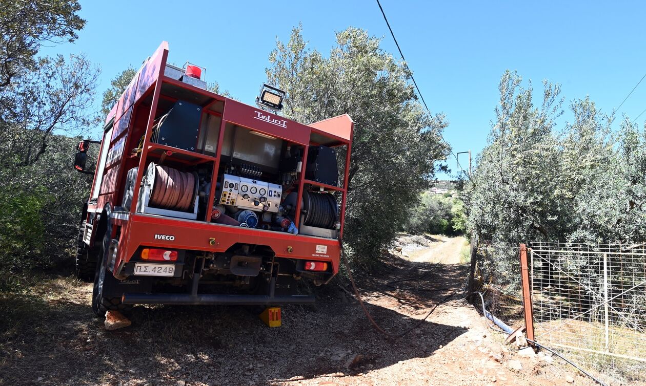 Φωτιά σε αγροτοδασική έκταση στην Αλεξανδρούπολη