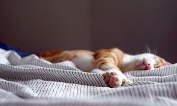 Συμβουλές για καλύτερο ύπνο τις ζέστες μέρες και νύχτες