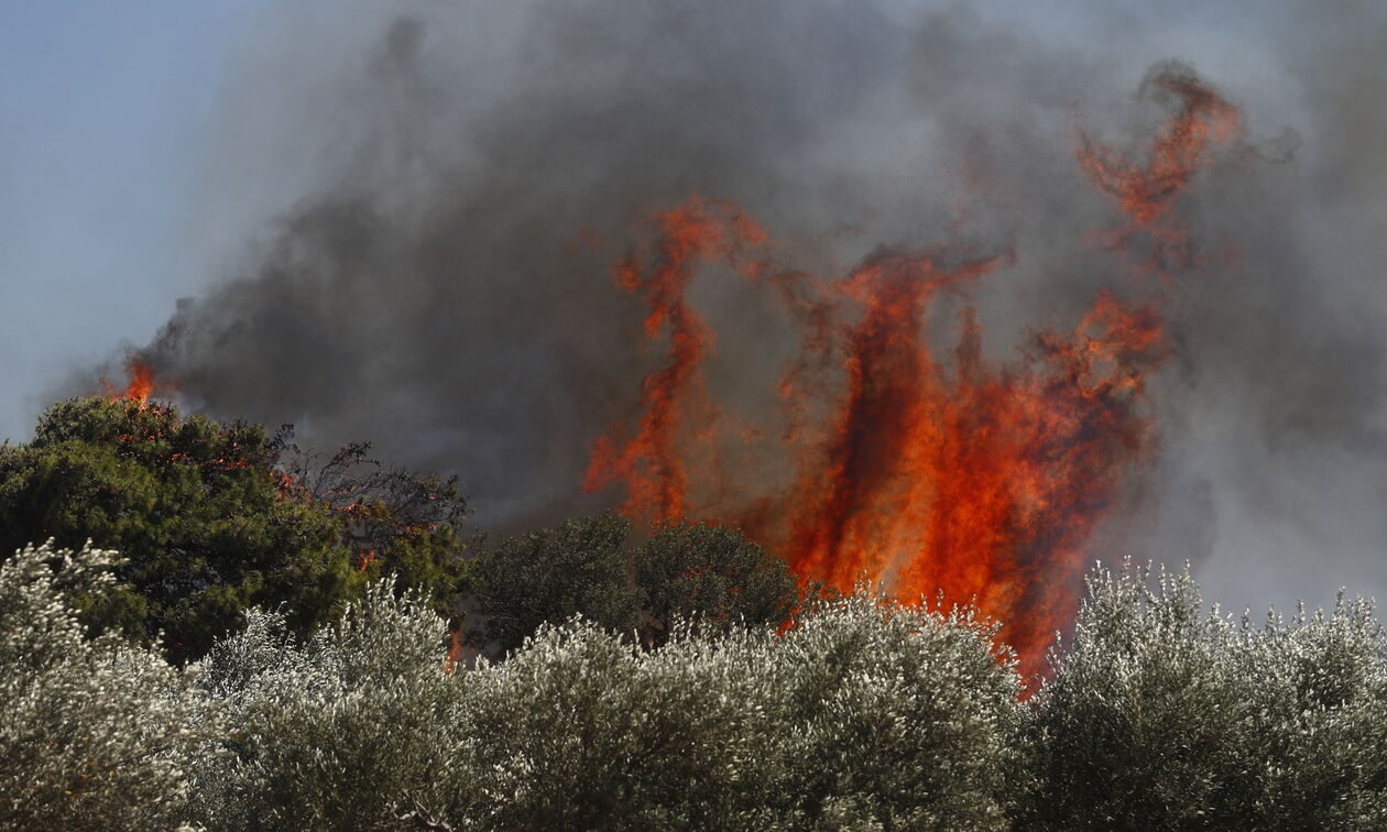 Πυρκαγιά στη Βάρης-Κορωπίου: Επί ποδός 155 πυροσβέστες και εναέρια μέσα - Ελαφρώς βελτιωμένη εικόνα