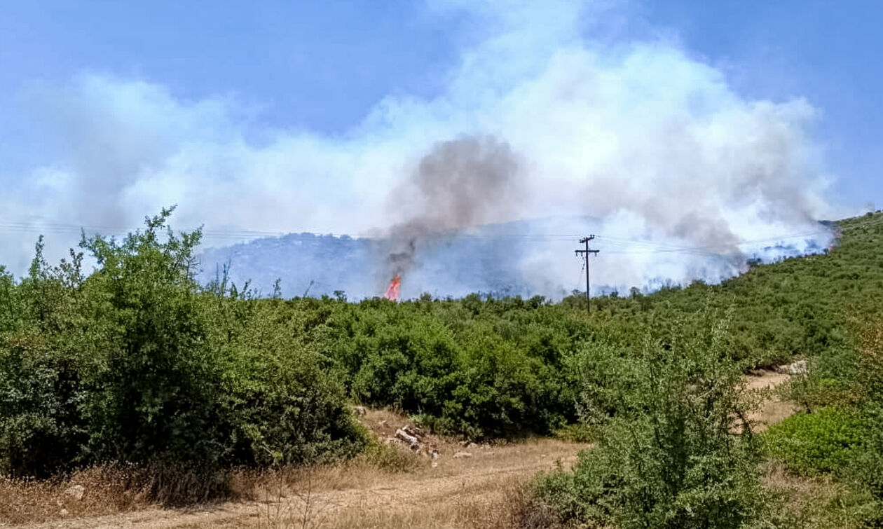 Πύρινα μέτωπα σε Θήβα, Αρκαδία, Αργολίδα, Αχαΐα και Κεφαλονιά - Υπό έλεγχο Σαρωνίδα και Κόρινθος