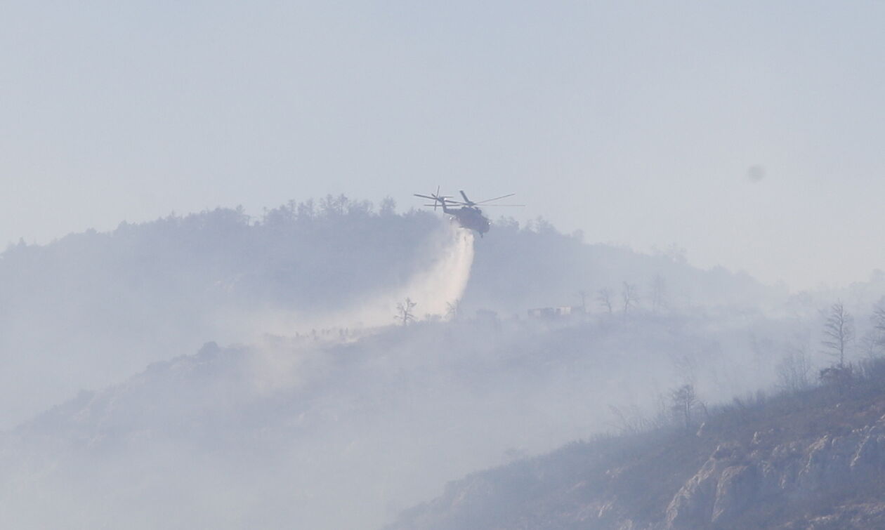 Φωτιά κοντά στο δάσος της Δαδιάς στον Έβρο - Επιχειρούν επίγειες και εναέριες δυνάμεις