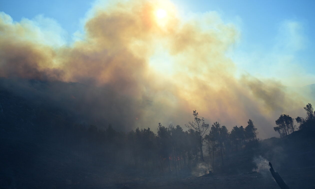 Πυρκαγιά σε δασική έκταση στη Χίο - Ήχησε το 112
