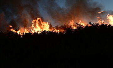 Προφυλακιστέος ο 38χρονος Ρουμάνος για τη φωτιά στη Ραφήνα