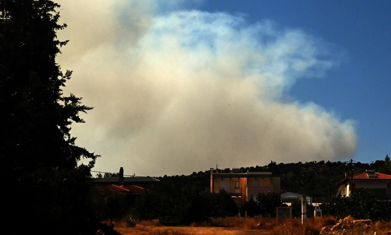 Φωτιά στο Βαρθολομιό - Επί τόπου ισχυρές δυνάμεις της Πυροσβεστικής