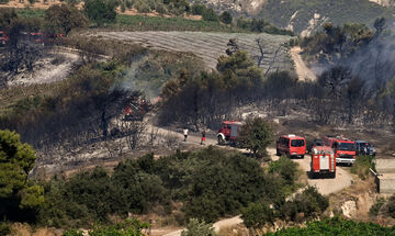 Χωρίς ενεργό μέτωπο η πυρκαγιά στην Στιμάγκα Κορινθίας