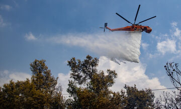 Πυρκαγιά στη Τζια - Μήνυμα από το 112 για εκκενώσεις περιοχών