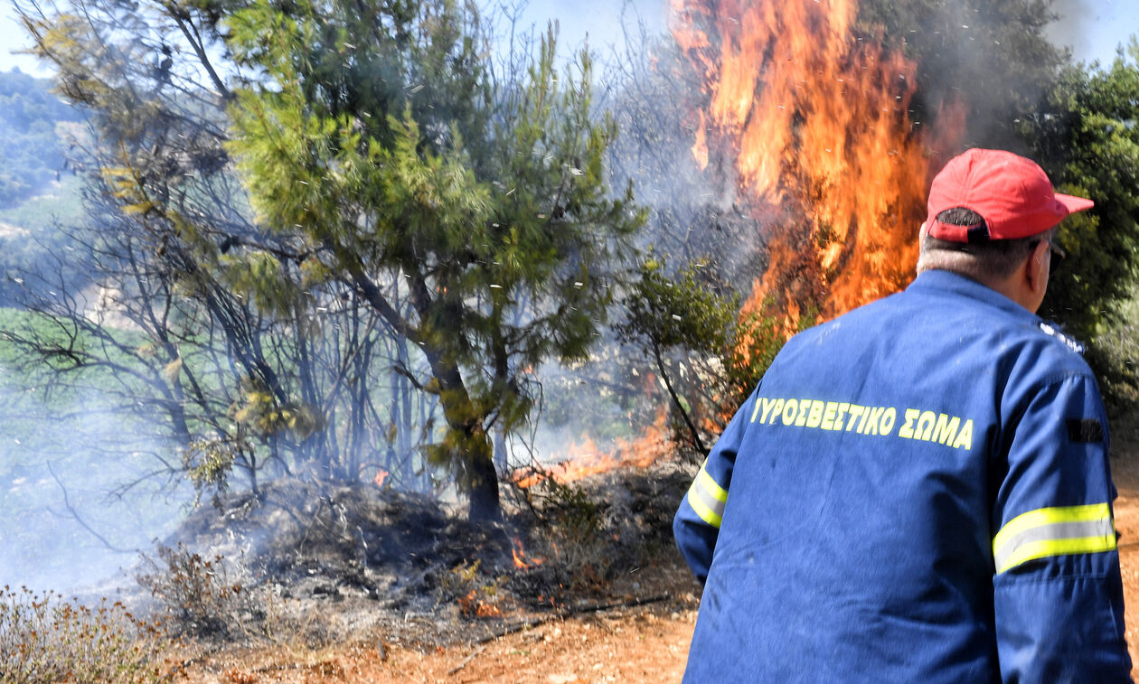 Πυρκαγιά σε χαμηλή βλάστηση στο Ανακτόριο Βόνιτσας