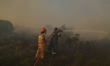Μεσσηνία: Πυρκαγιά σε αγροτοδασική έκταση στην περιοχή Μεταμόρφωση