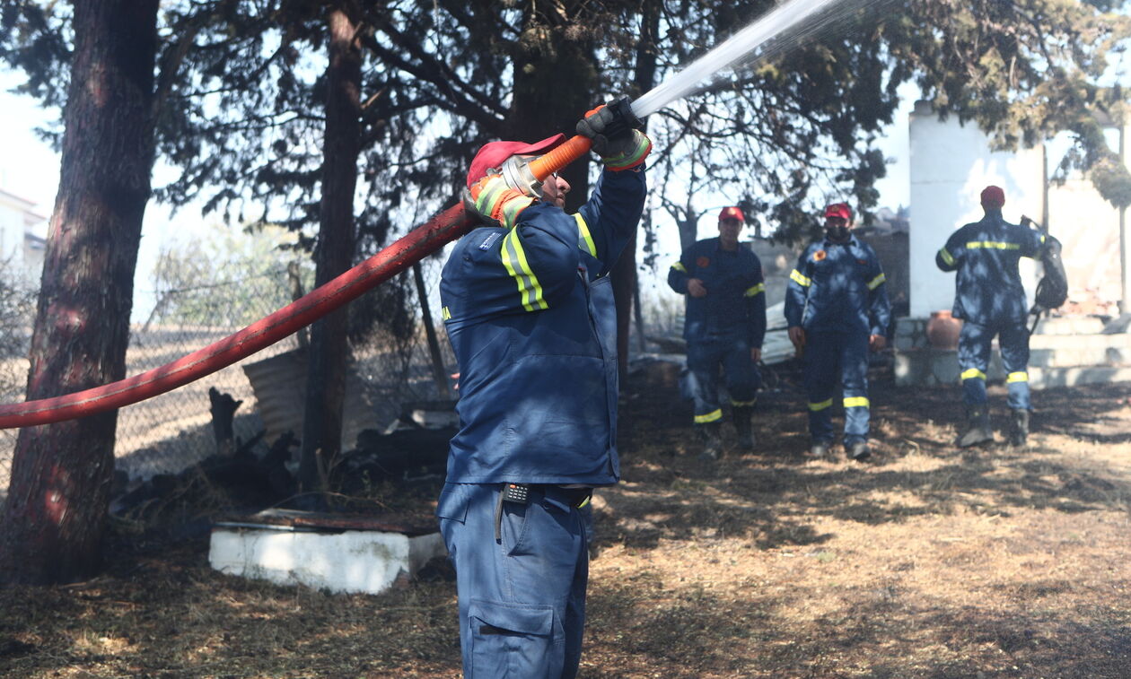 Υπό έλεχγο η φωτιά στο Πήλιο - Δεν απειλούνται κατοικημένες περιοχές