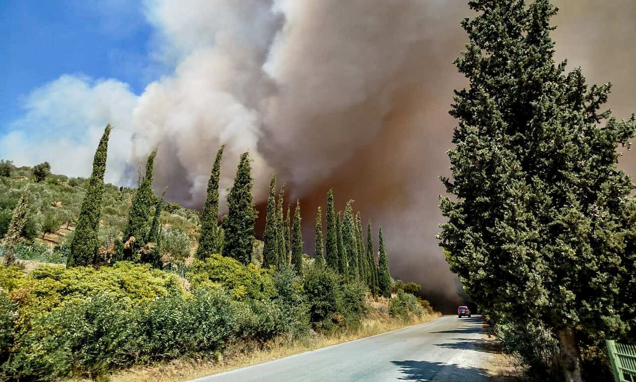 Πυρκαγιά στην Εύβοια: Πέρασε την εθνική οδό, μαίνεται στον κάμπο του Δύστου