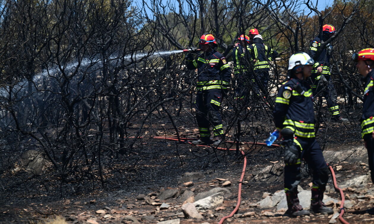 Ξέσπασαν 31 πυρκαγιές μέσα σε 24 ώρες - Οριοθετήθηκε η φωτιά στην Εύβοια