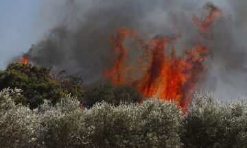 Ρέθυμνο: Φουντώνει η πυρκαγιά λόγω των ισχυρών ανέμων - Μάχη για να σωθούν οικισμοί