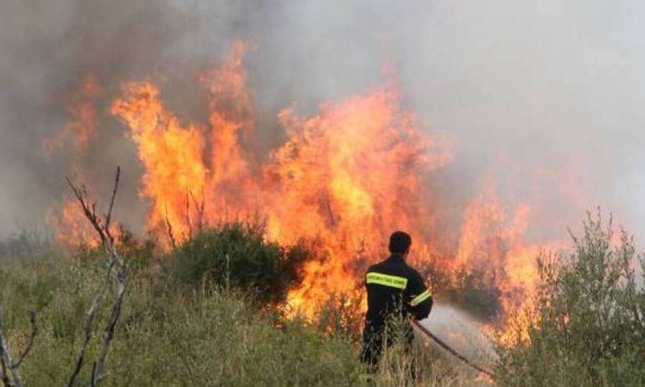 Πυρκαγιά σε δασική έκταση στο Χιονοχώρι Σερρών