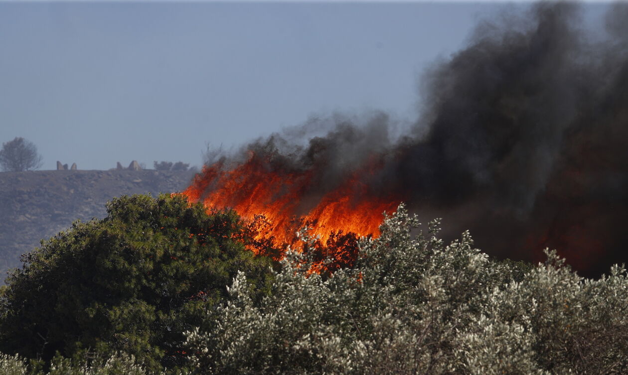 Ωρωπός: Συνελήφθη ηλικιωμένη για δύο εμπρησμούς στην περιοχή