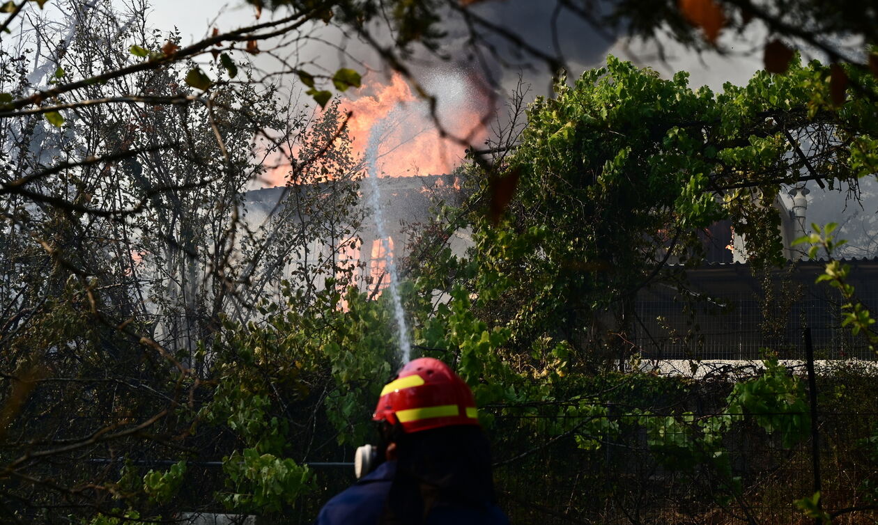 Φωτιά στον Βαρνάβα: Οι φλόγες ξεπερνούν και τα 25 μέτρα (vid)