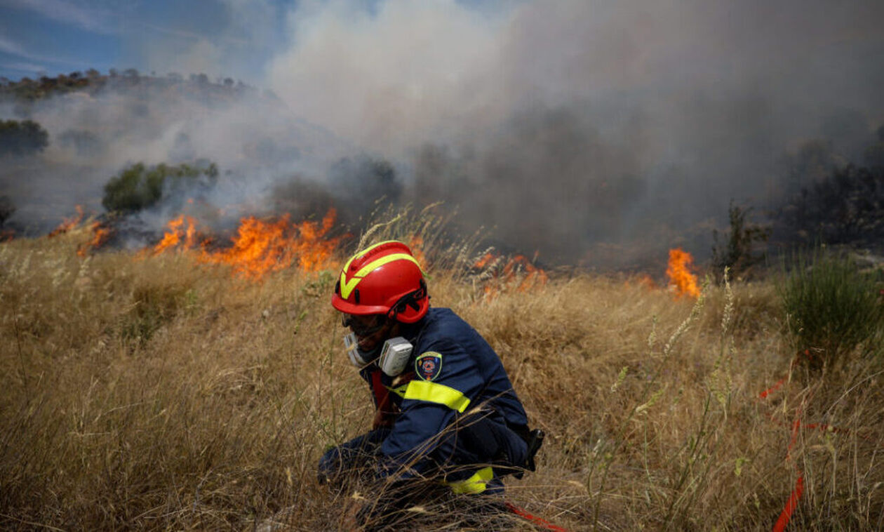 Ηλεία: Πυρκαγιά σε χαμηλή βλάστηση, στη Νέα Μανωλάδα