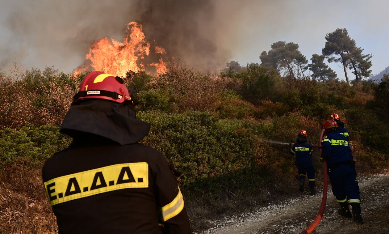 Λάρισα: Φωτιά στην Αμπελιά Φαρσάλων – Τέθηκε υπό μερικό έλεγχο