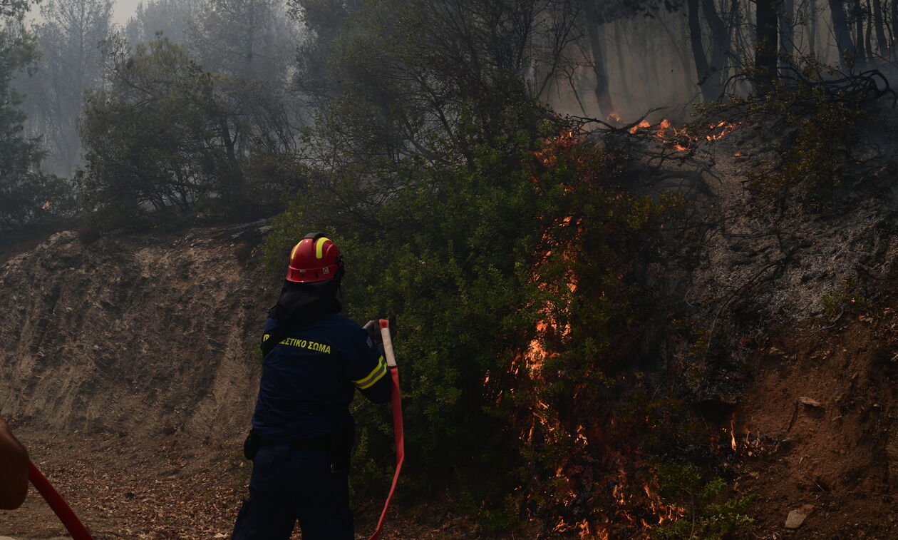 Φωτιά στην Κεφαλονιά: Ήχησε το 112