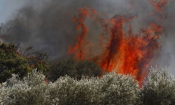 Φωτιές στην Αττική: Ολοκληρώνονται οι αυτοψίες