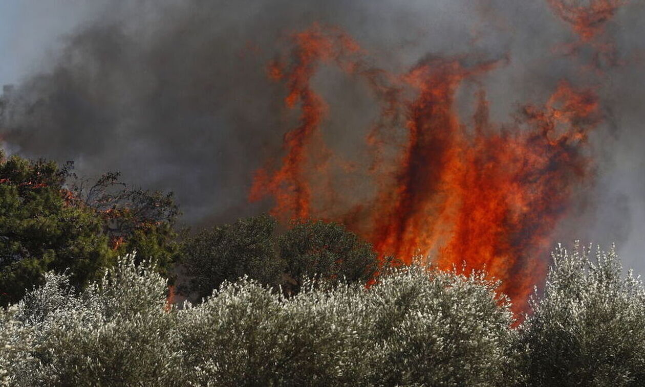 Δυο προσαγωγές για τη φωτιά στο Λιτόχωρο