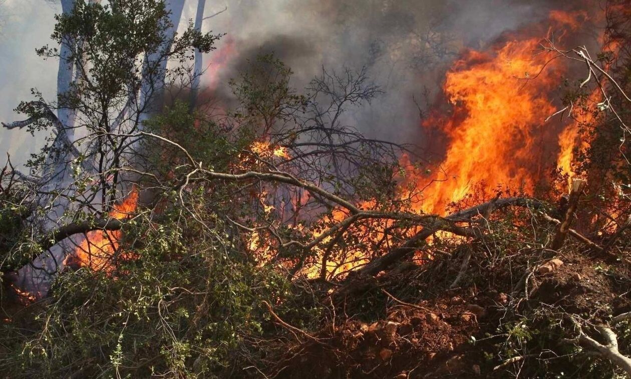 Φωτιά στη Σίβηρη Χαλκιδικής - Καίει δασική έκταση