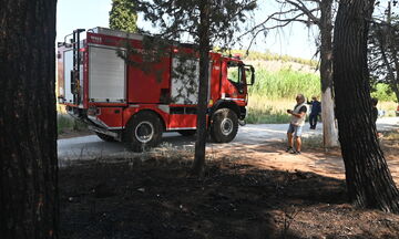 Υψηλός κίνδυνος πυρκαγιάς στη Χαλκιδική- Καταιγίδες στη Θεσσαλονίκη