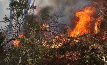 Πυρκαγιά στους Αγίους Θεοδώρους του Αλμυρού