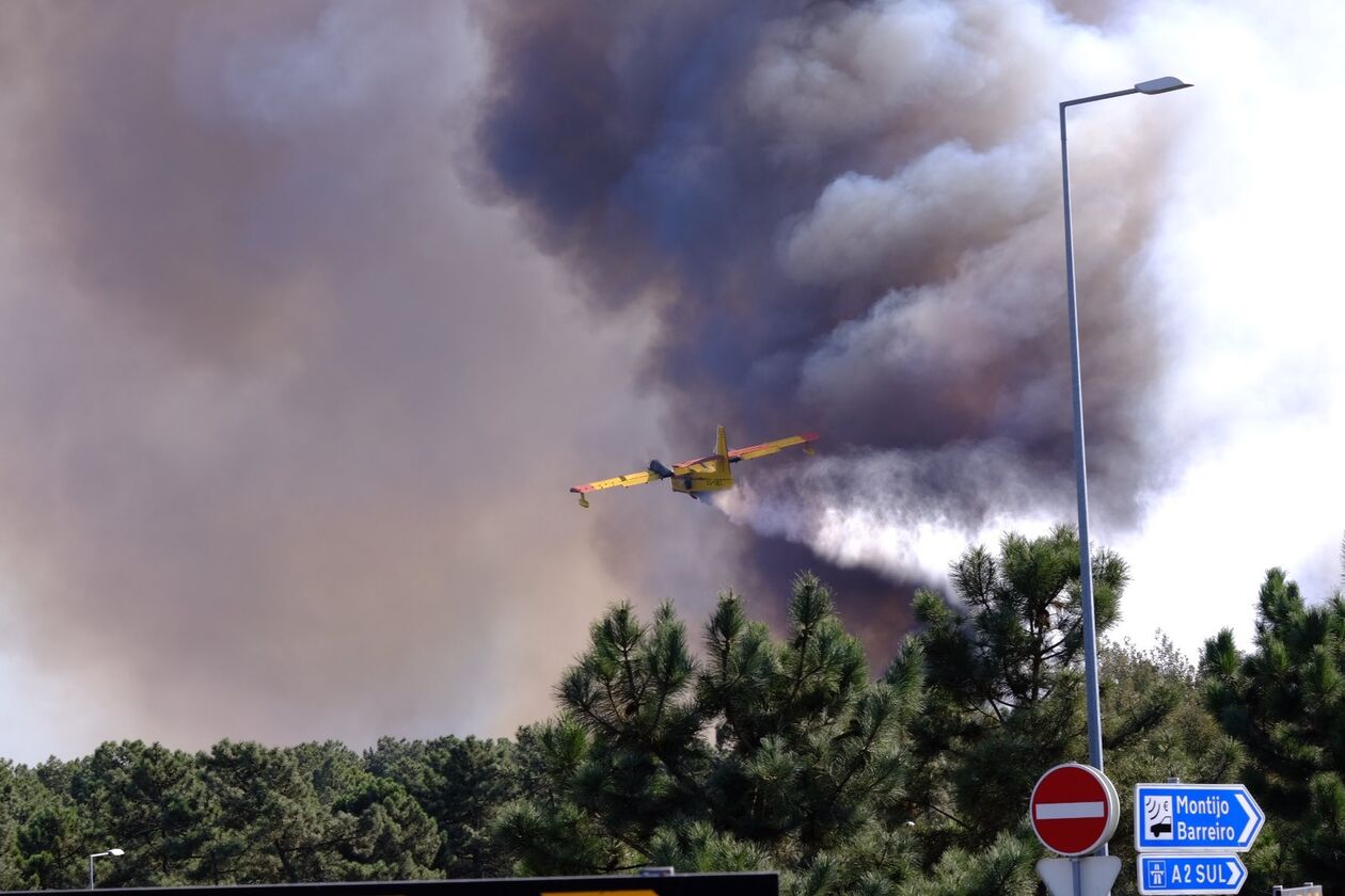 Πύρινη λαίλαπα στην Πορτογαλία: Στους 7 ανέρχονται οι νεκροί - Ανάμεσά τους 3 πυροσβέστες