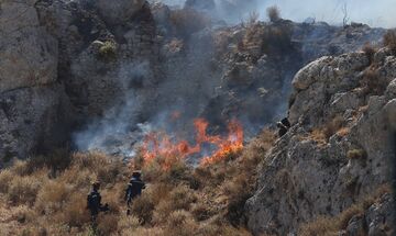 Ρέθυμνο: Πυρκαγιά σε αγροτοδασική έκταση στην Αγία Τριάδα - Σηκώθηκαν και εναέρια μέσα