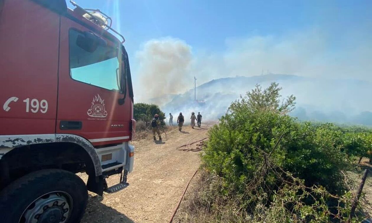 Λάρισα: Φωτιά σε περιοχή της Χάλκης – Δεν απειλεί κατοικημένες περιοχές