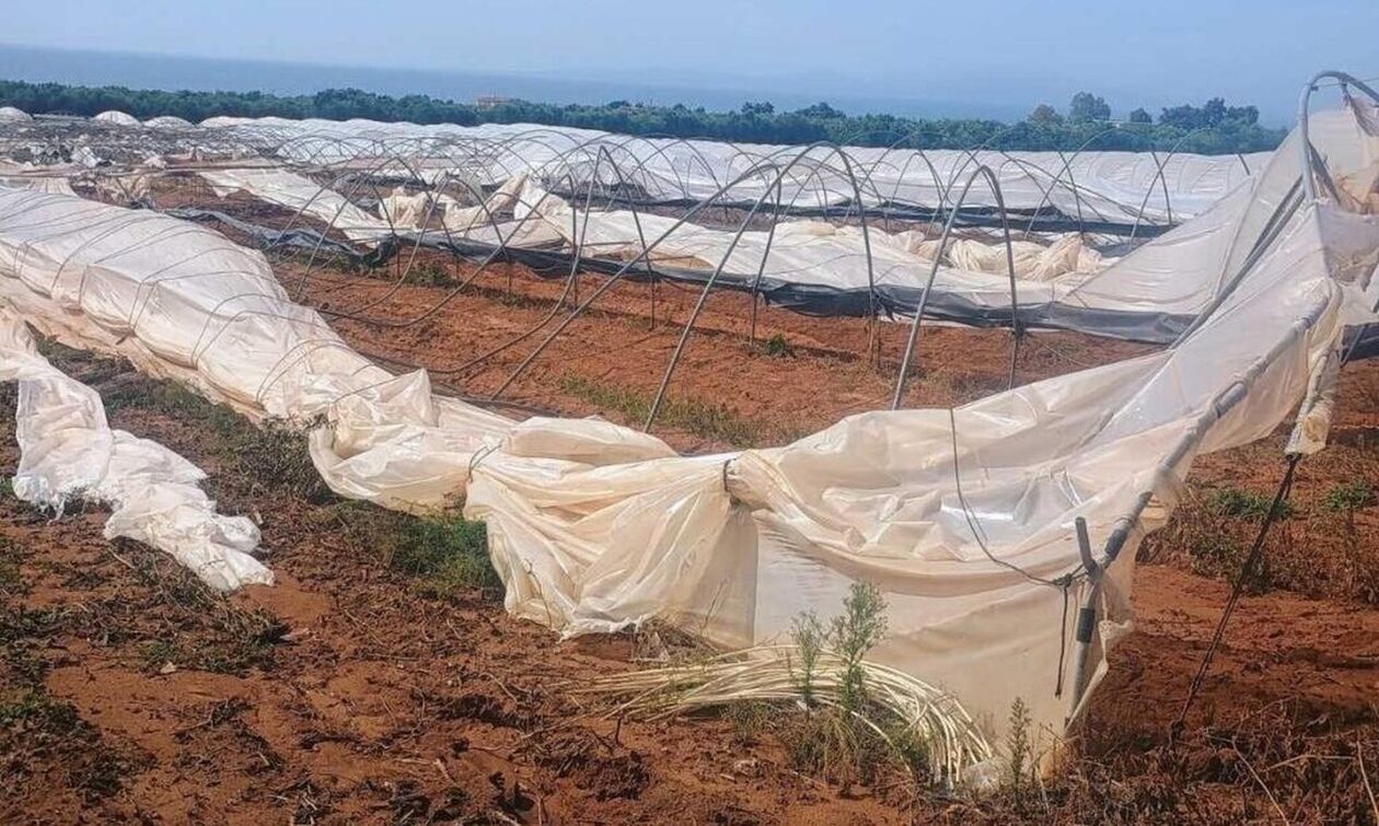 Ζημιές σε θερμοκήπια και οδικό δίκτυο στην Ηλεία από την κακοκαιρία